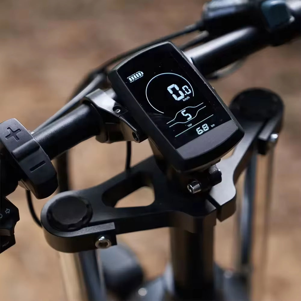 Electric Bike Coswheel T20 1000W Motor 48V20AH Detachable Battery Adult Electric Bicycle Mountain Off-Road 55Km/H Speed E-Bike