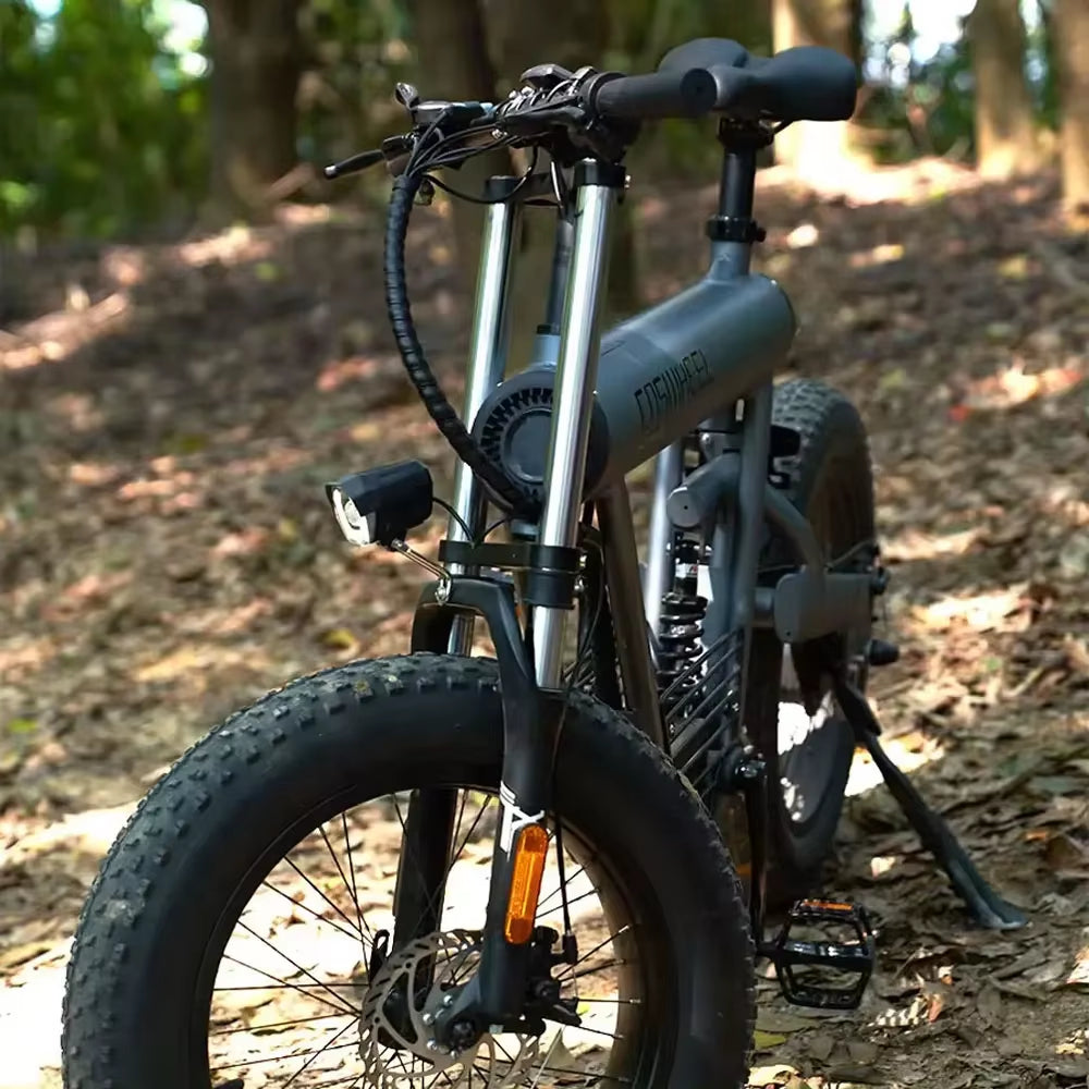 Electric Bike Coswheel T20 1000W Motor 48V20AH Detachable Battery Adult Electric Bicycle Mountain Off-Road 55Km/H Speed E-Bike